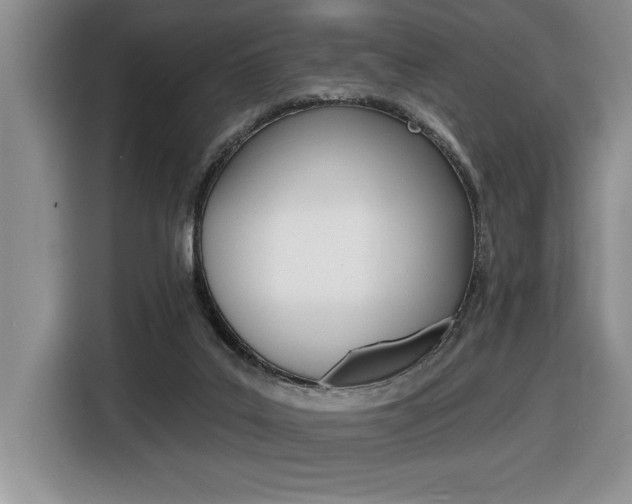 X0000116590019200912101342