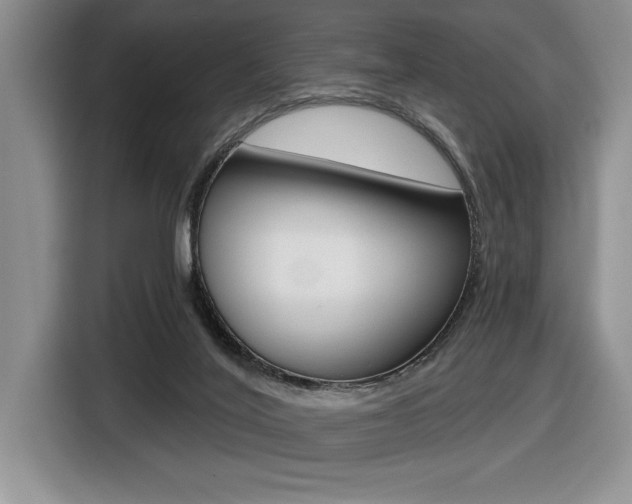 X0000116590020200912101342