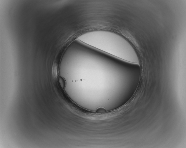 X0000116590021200912101342