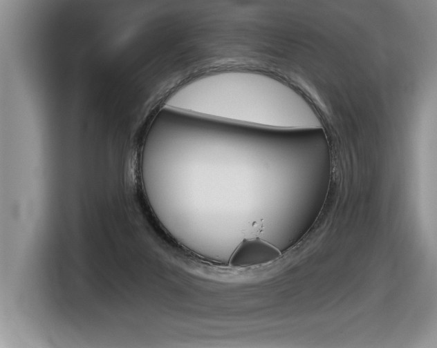 X0000116590023200912101342
