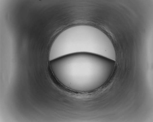 X0000116590024200912101342