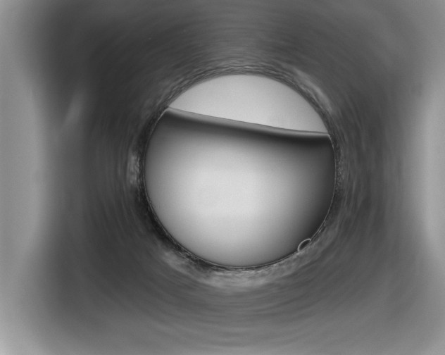 X0000116590025200912101342