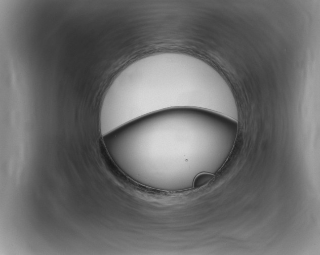 X0000116590028200912101342