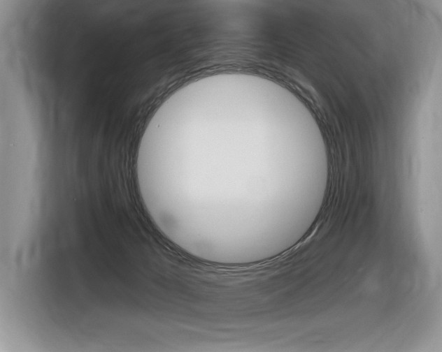 X0000116590029200912101342