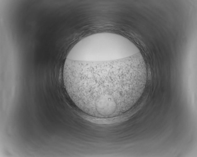 X0000116590030200912101342