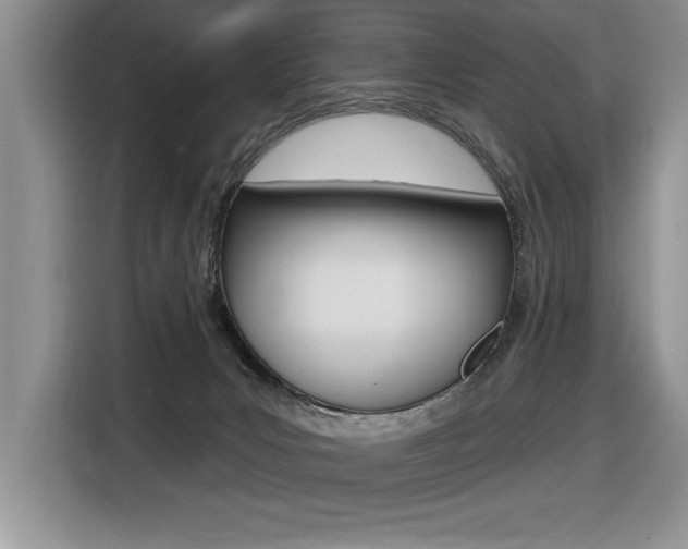 X0000116590031200912101342