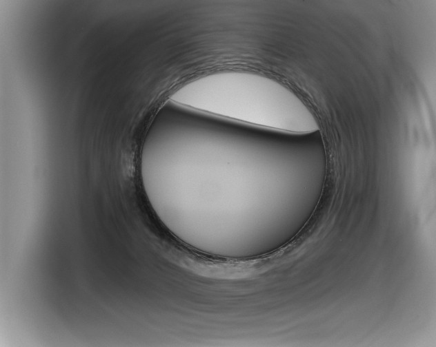 X0000116590032200912101342