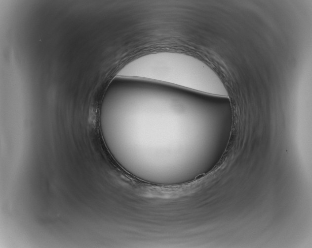 X0000116590033200912101342