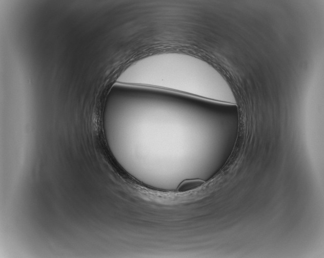 X0000116590039200912101342