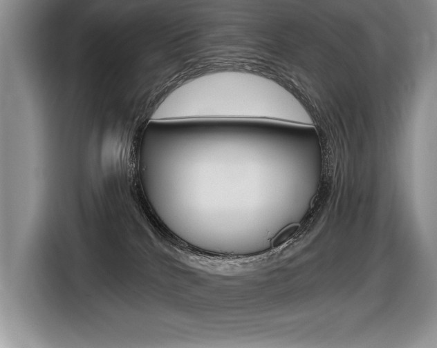 X0000116590040200912101342