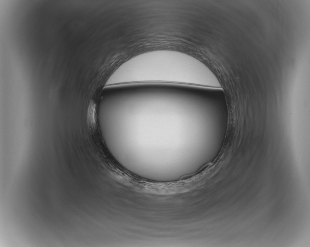 X0000116590041200912101342