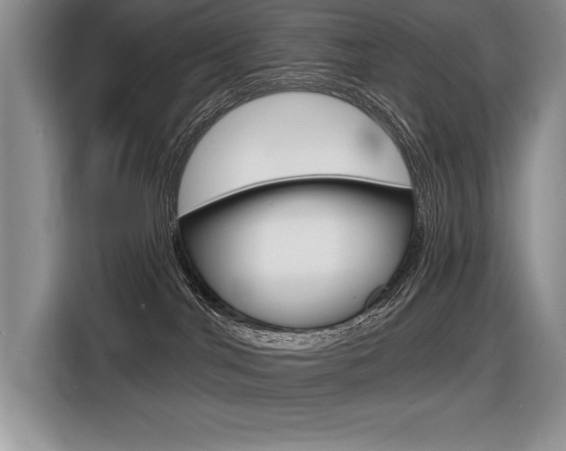 X0000116590044200912101342