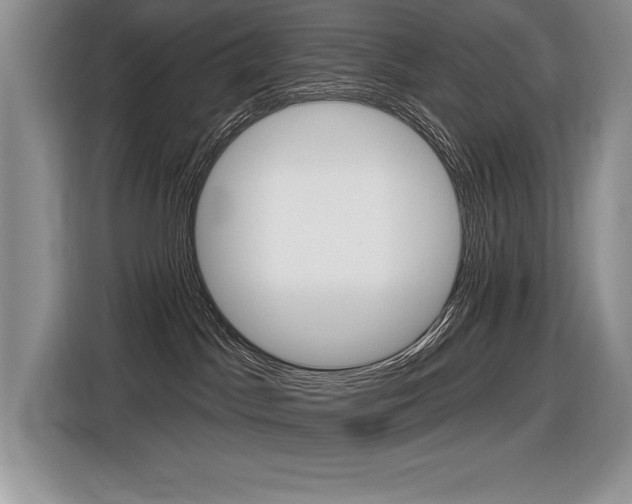 X0000116590045200912101342