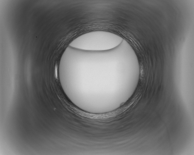 X0000116590046200912101342