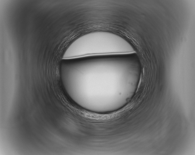 X0000116590048200912101342