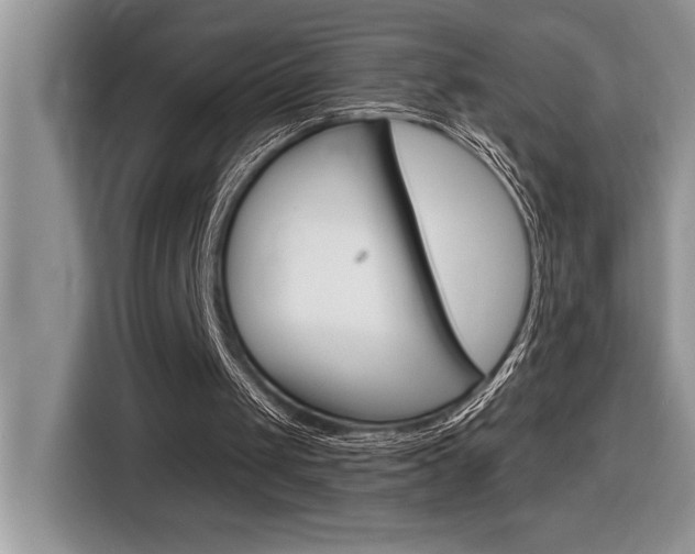 X0000116590049200912101341