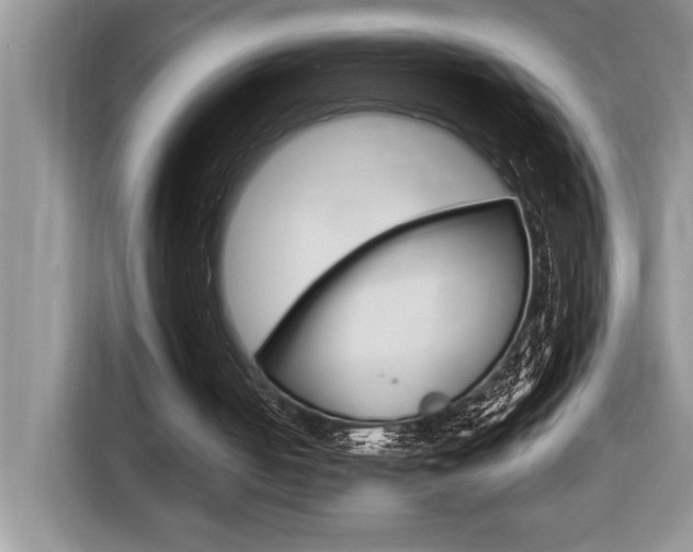 X0000116590050200912101341