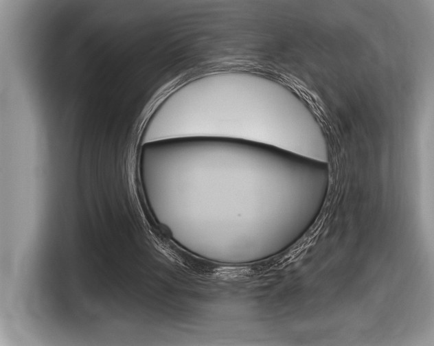 X0000116590051200912101341