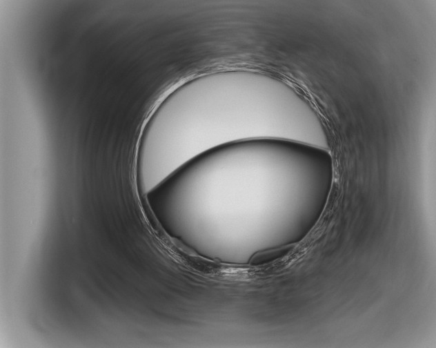 X0000116590052200912101341