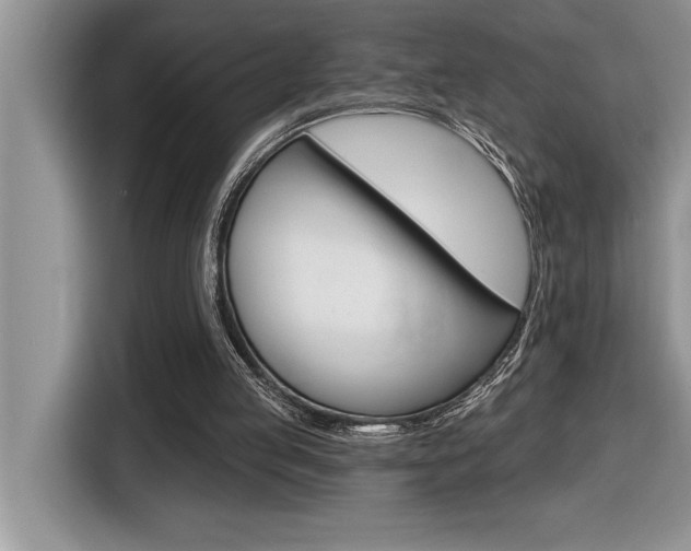 X0000116590053200912101341