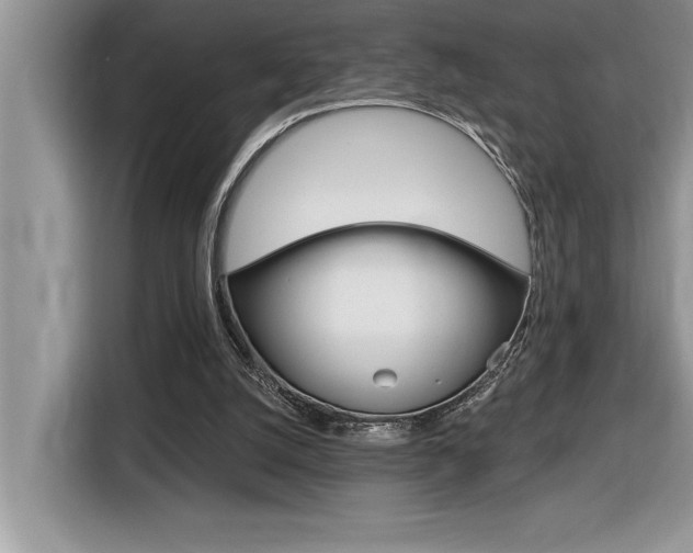X0000116590056200912101341