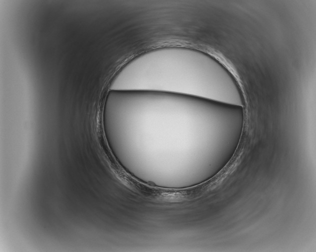 X0000116590057200912101341