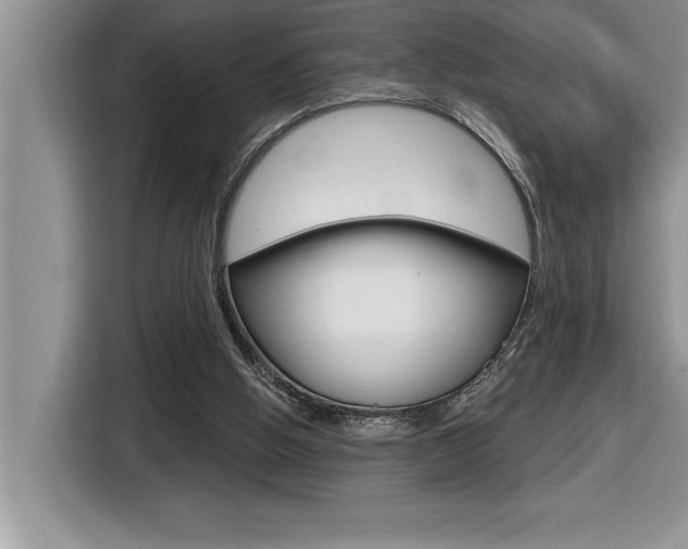 X0000116590058200912101341