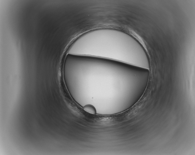 X0000116590059200912101341
