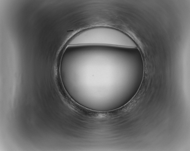 X0000116590060200912101341