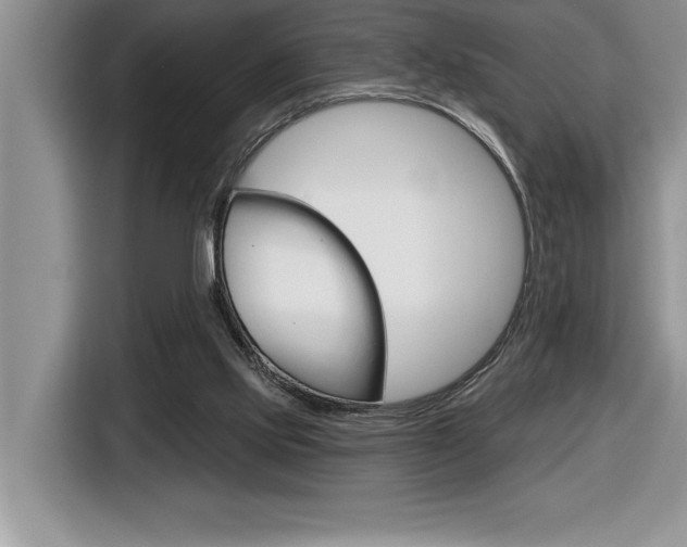 X0000116590061200912101341