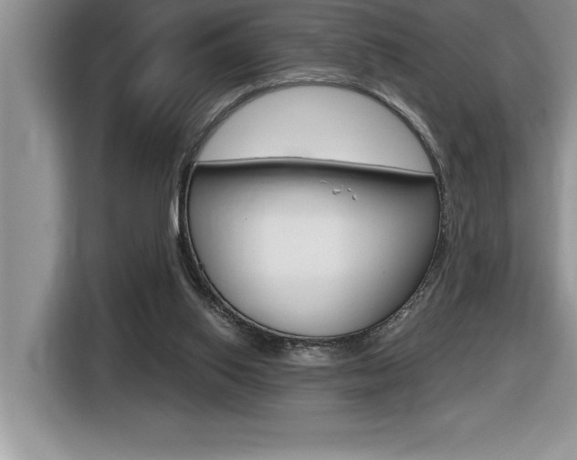 X0000116590062200912101341