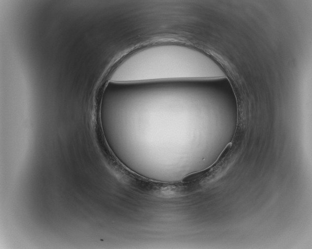 X0000116590064200912101341