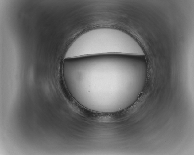 X0000116590066200912101341