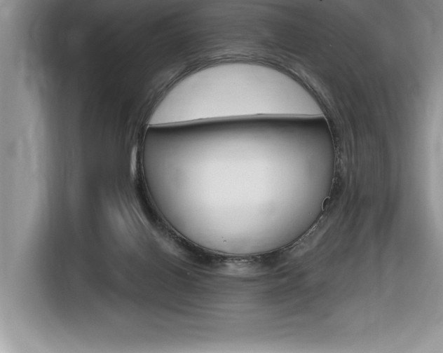 X0000116590070200912101341