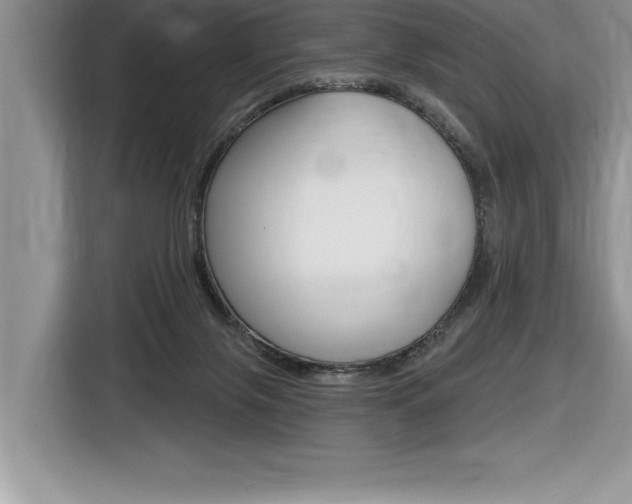 X0000116590071200912101341