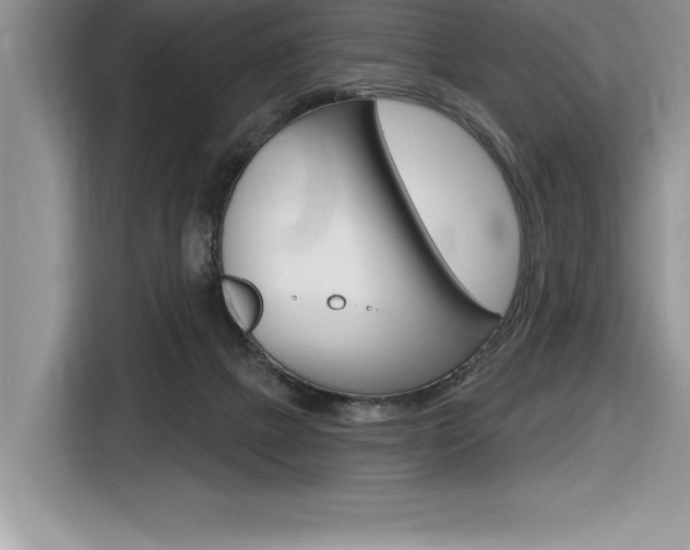 X0000116590073200912101341