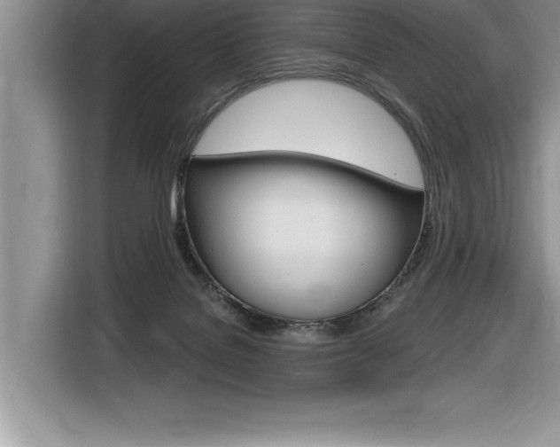 X0000116590076200912101341