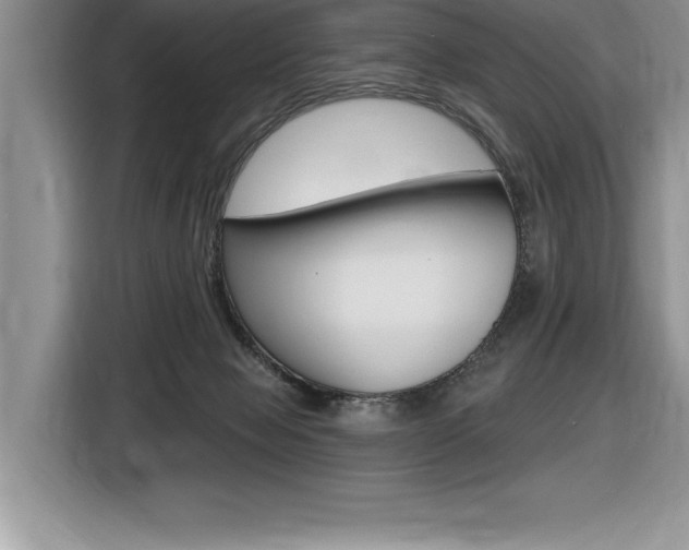 X0000116590077200912101341