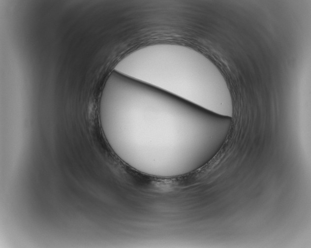 X0000116590079200912101341