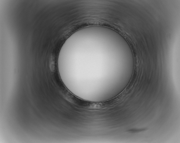 X0000116590080200912101341