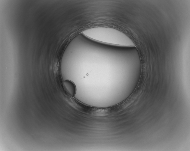 X0000116590081200912101341