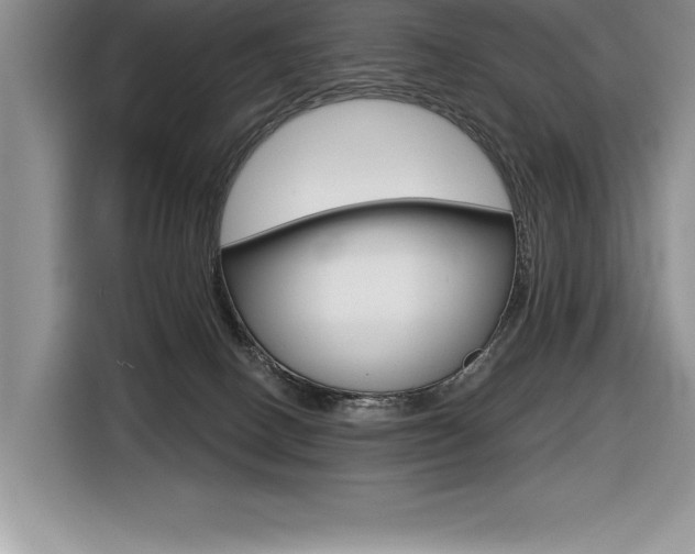 X0000116590082200912101341
