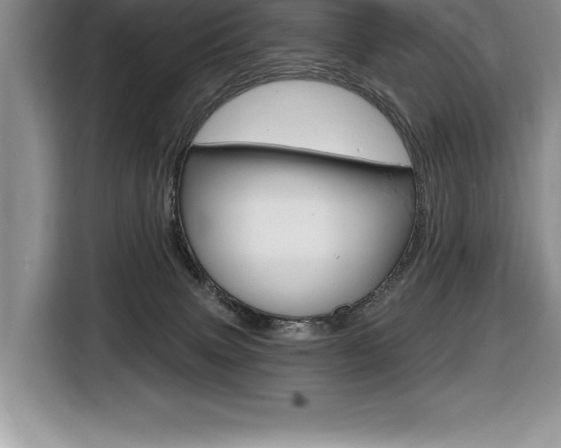 X0000116590083200912101341