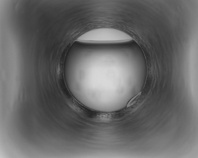 X0000116590084200912101341