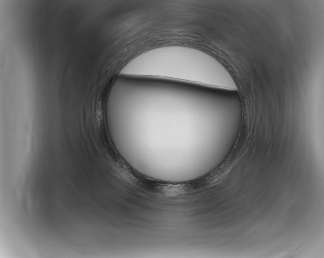 X0000116590085200912101341
