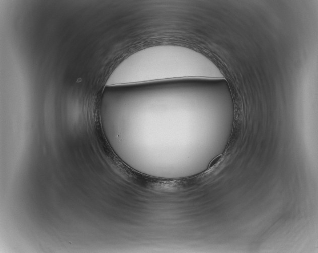 X0000116590086200912101341