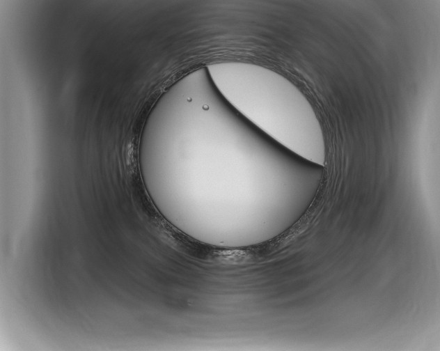 X0000116590087200912101341