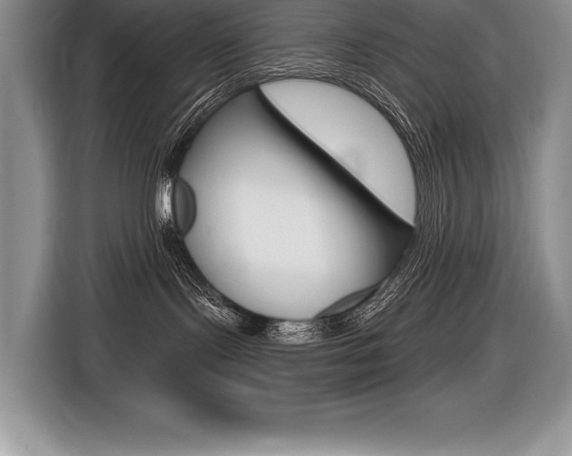 X0000116590095200912101342