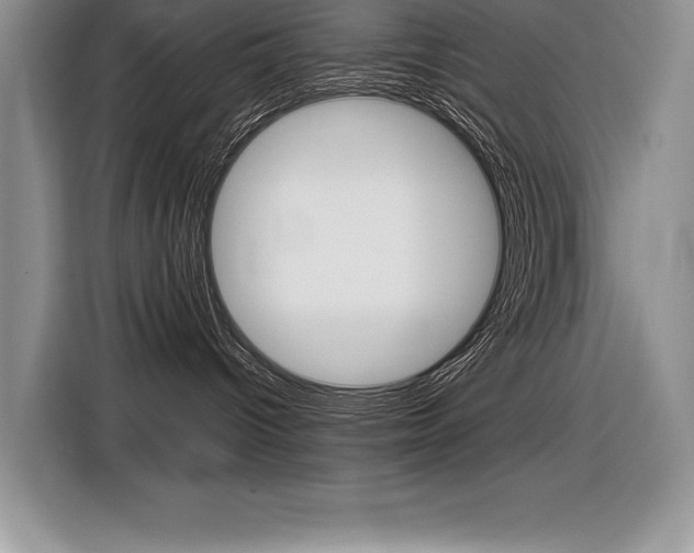 X0000116590096200912101342