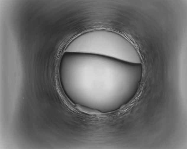 X0000116590097200912101341
